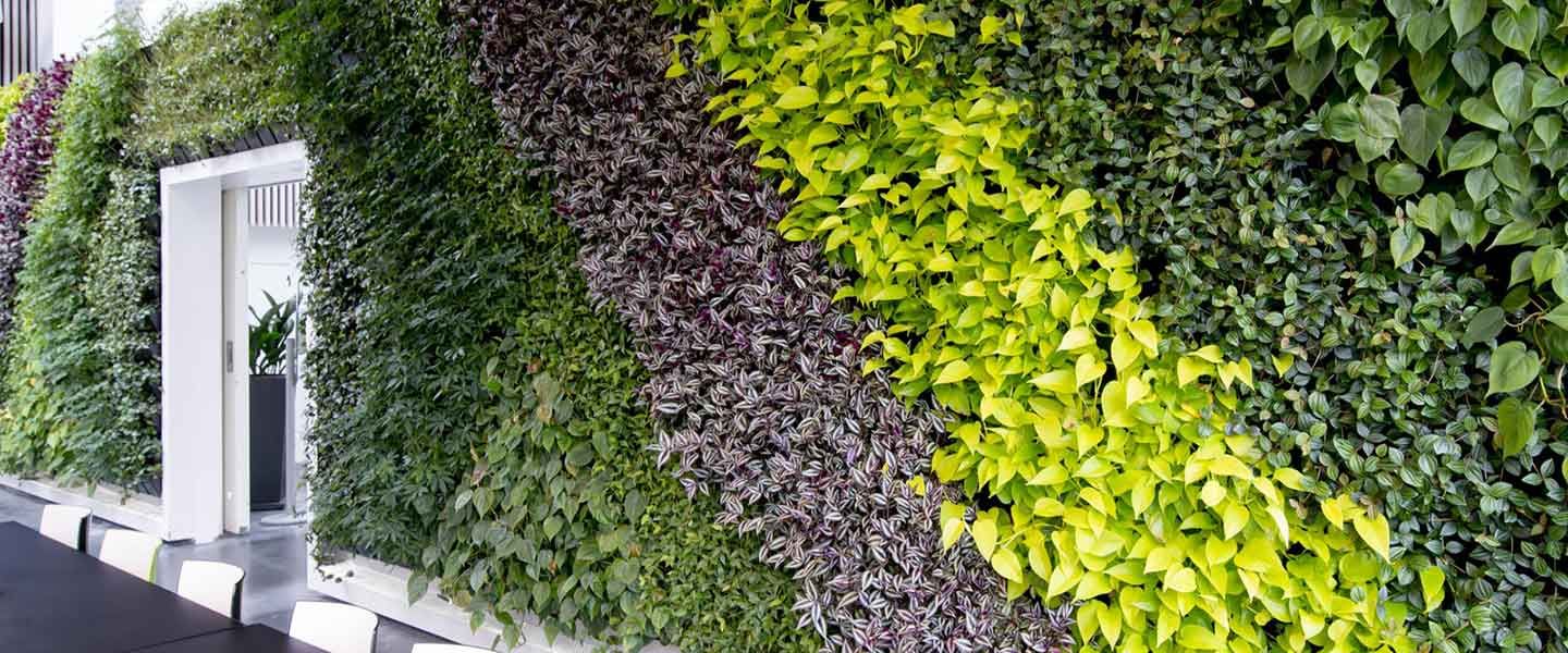 Plantevæg i kantinen